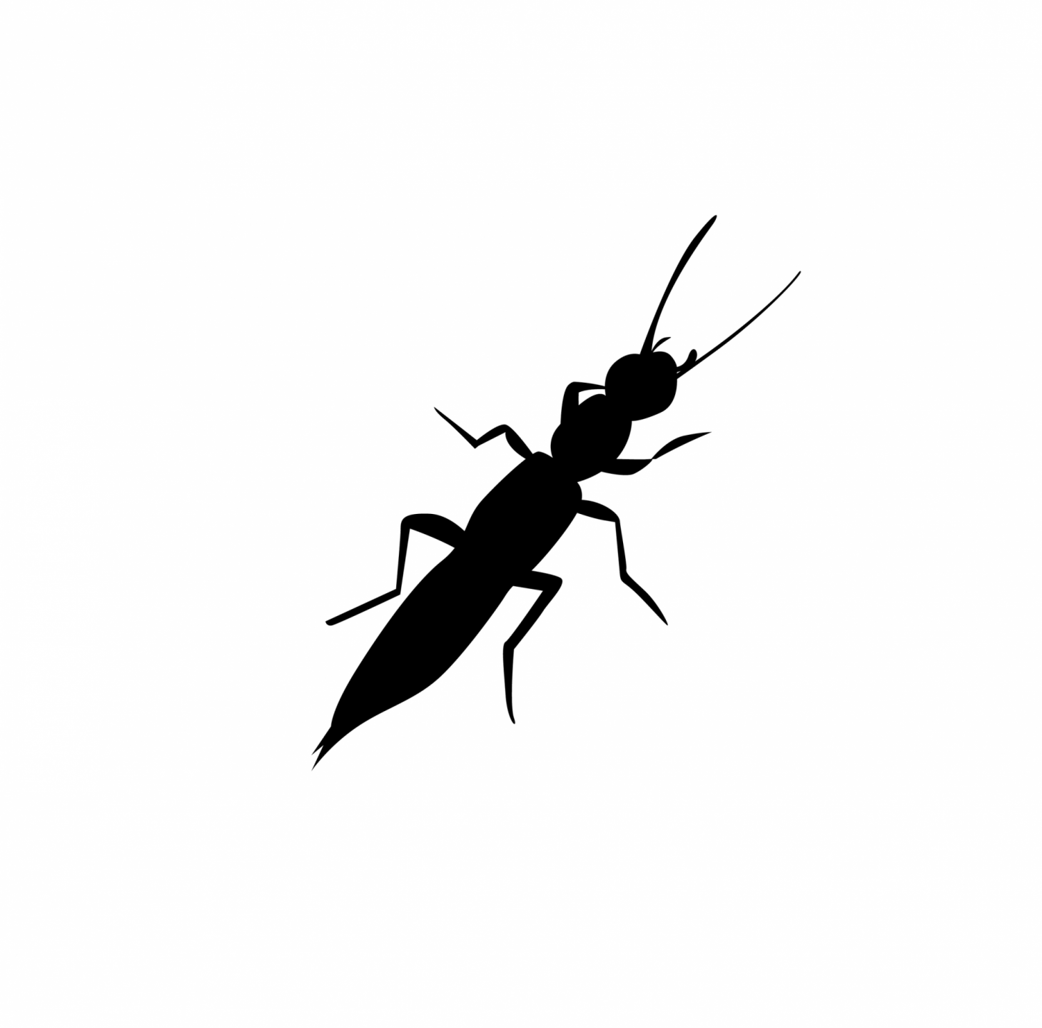 專業除蟲